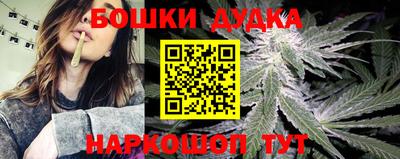 spice Будённовск